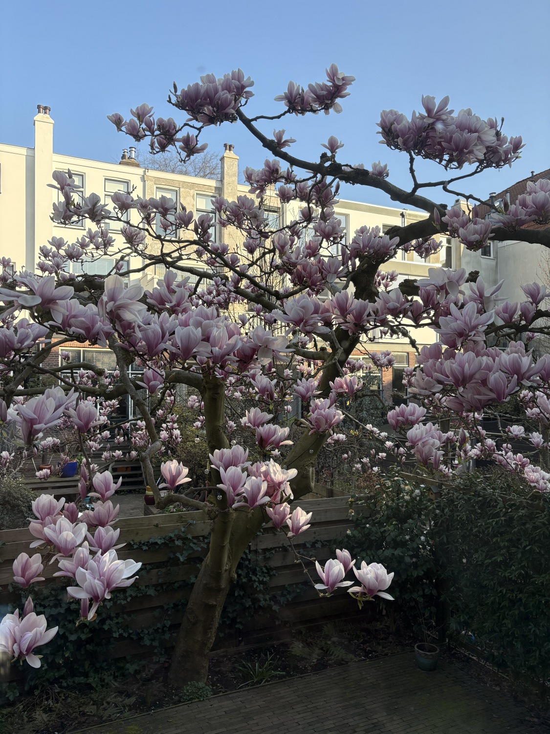 groovy gardens 04
