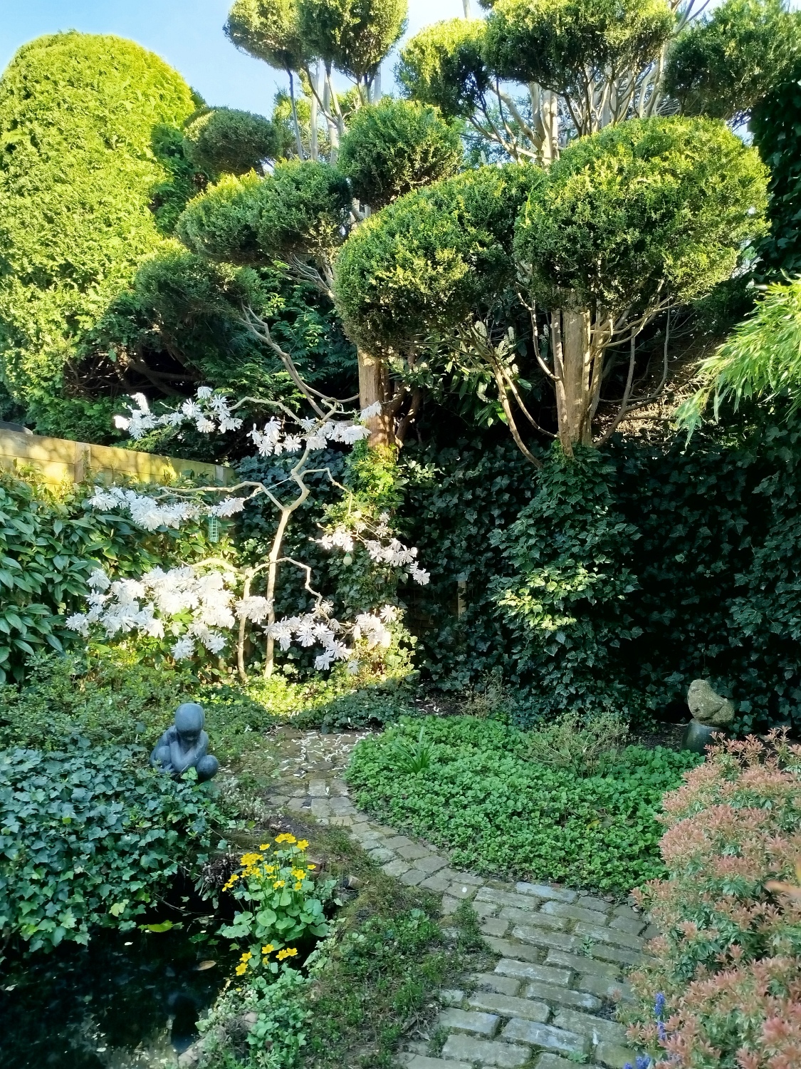 groovy gardens 08