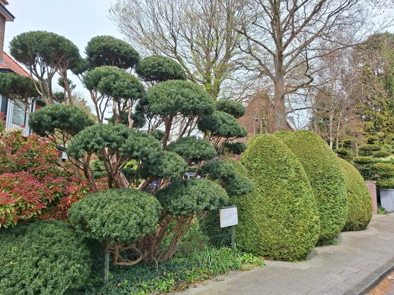 groovy gardens 10