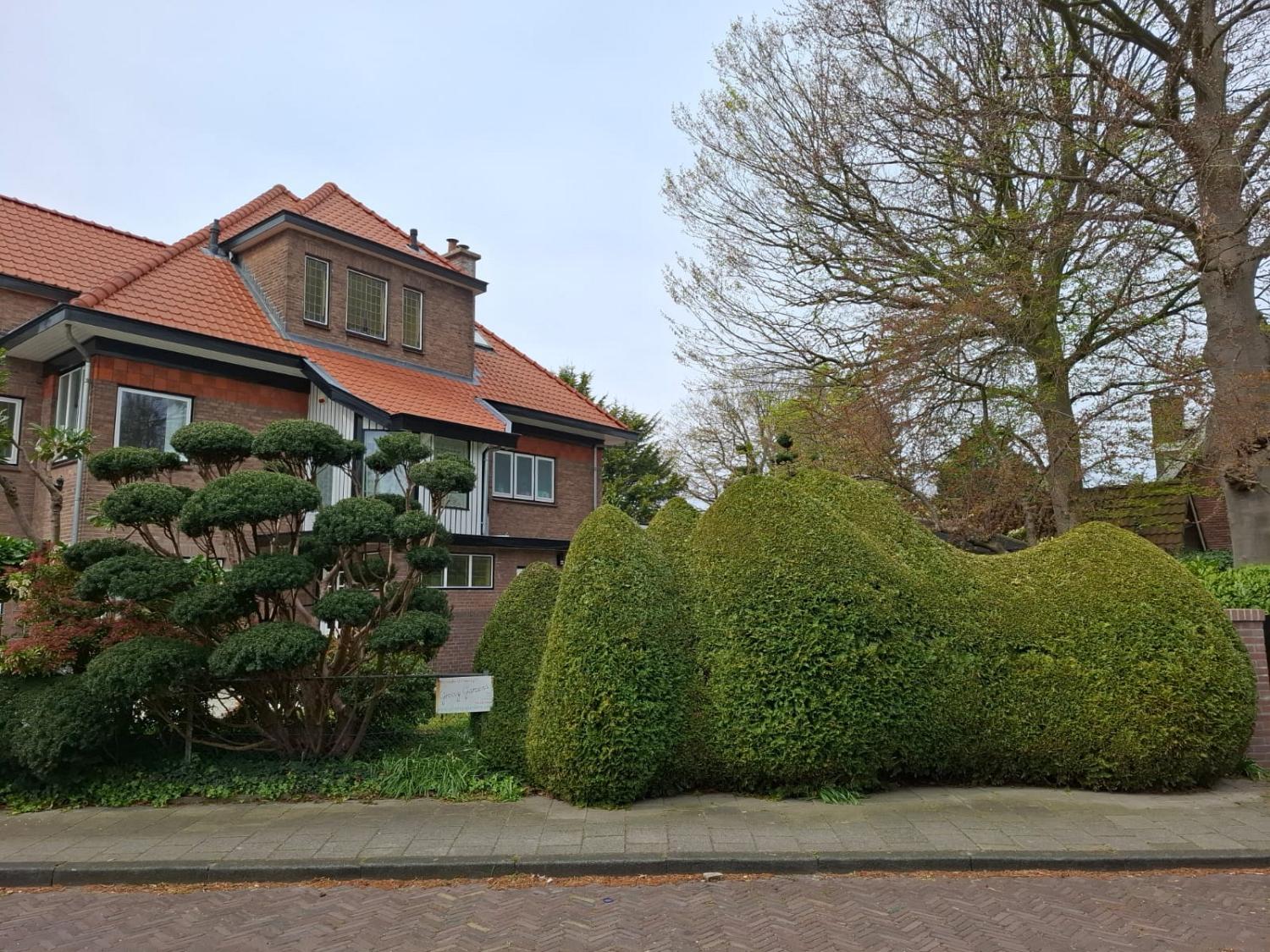 groovy gardens 12