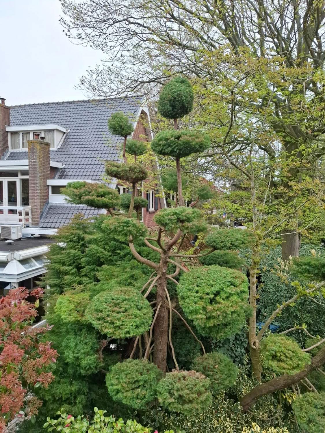 groovy gardens 14