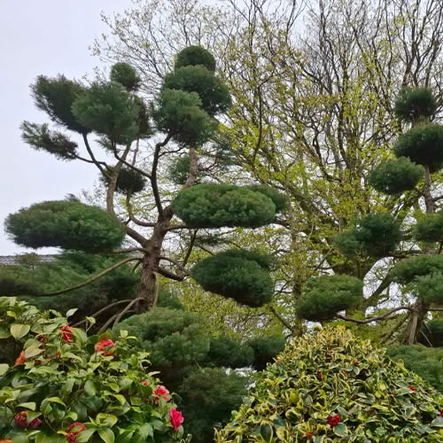 groovy gardens homepage 02